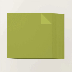 Old Olive 12? x 12? Two-Tone Cardstock
