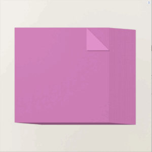 Petunia Pop 12? x 12? Two-Tone Cardstock