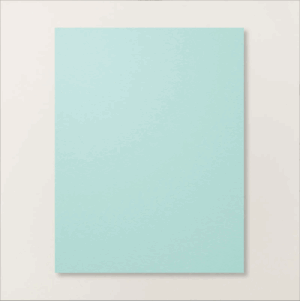 Pool Party 8.5 x 11 Cardstock