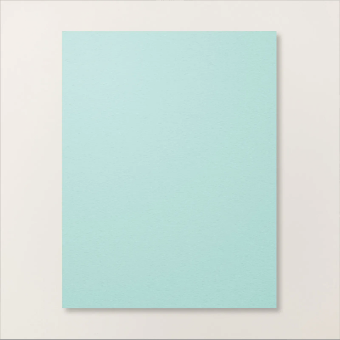 Pool Party 8.5 x 11 Cardstock