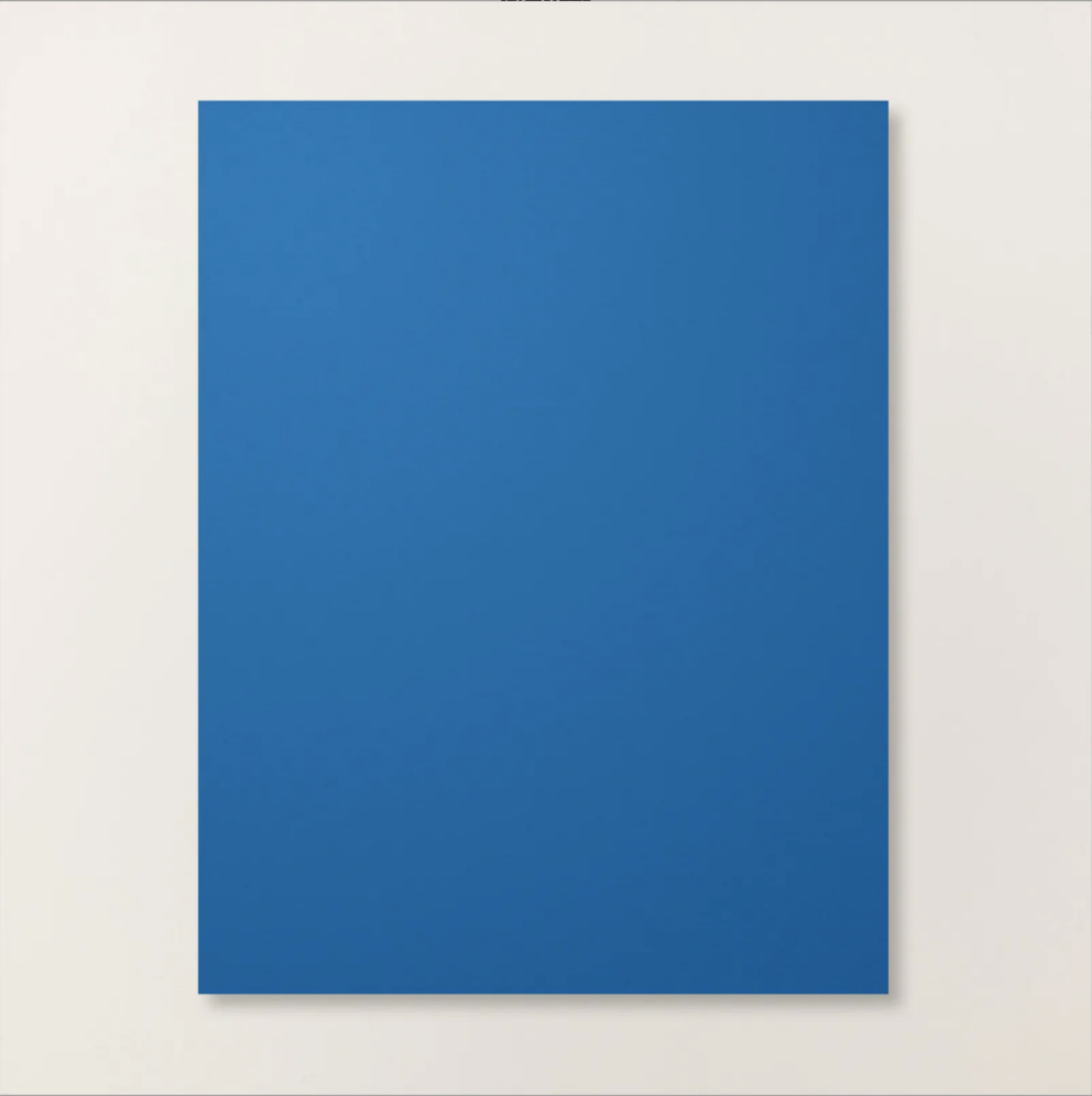 BLUEBERRY BUSHEL 8.5 X 11 CARDSTOCK