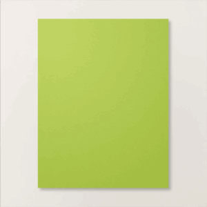 GRANNY APPLE GREEN 8.5 X 11 CARDSTOCK
