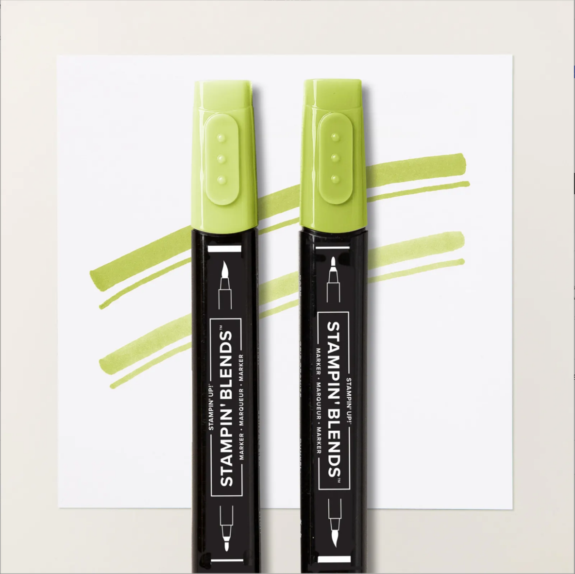 GRANNY APPLE GREEN STAMPIN BLENDS COMBO PACK