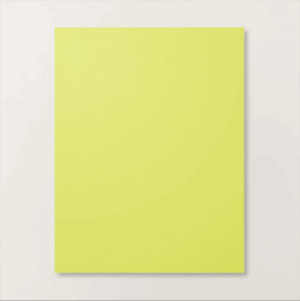 LEMON LIME TWIST 8.5 X 11 CARDSTOCK