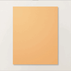 PEACH PIE 8.5 X 11 CARDSTOCK