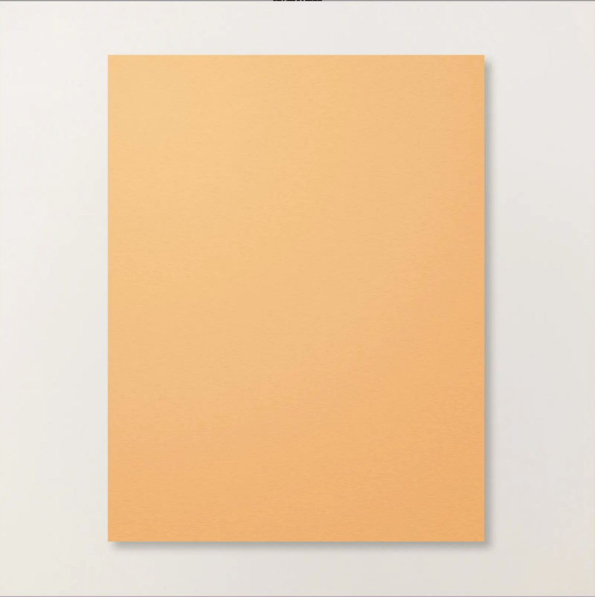 PEACH PIE 8.5 X 11 CARDSTOCK