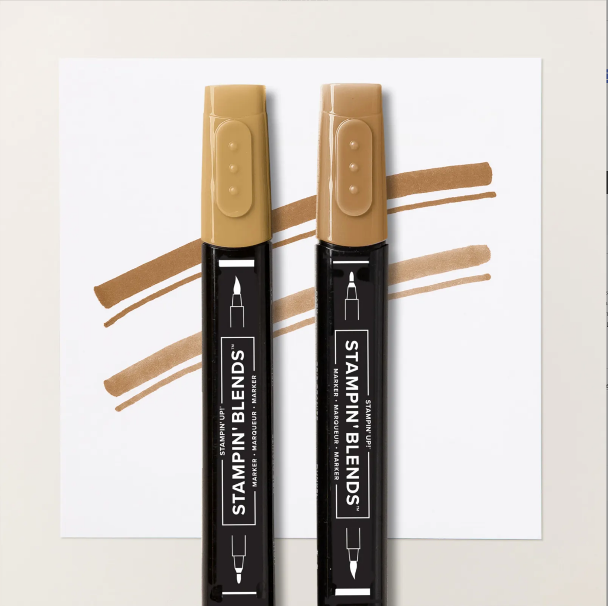 PECAN PIE STAMPIN BLENDS COMBO PACK
