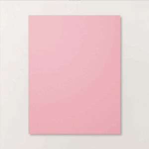 PRETTY IN PINK 8.5 X 11 CARDSTOCK