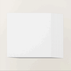 WHITE WILLOW 12 X 12 CARDSTOCK