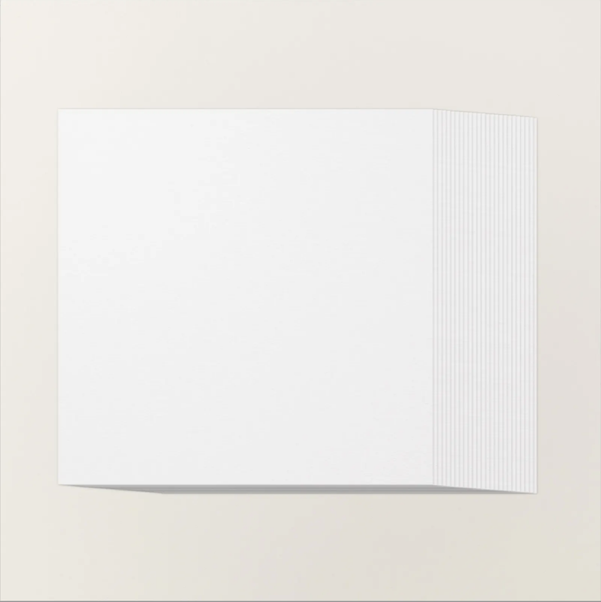 WHITE WILLOW 12 X 12 CARDSTOCK